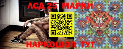 тгк Можга