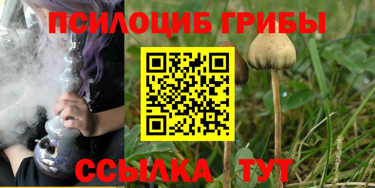 Псилоцибиновые грибы GOLDEN TEACHER Сибай