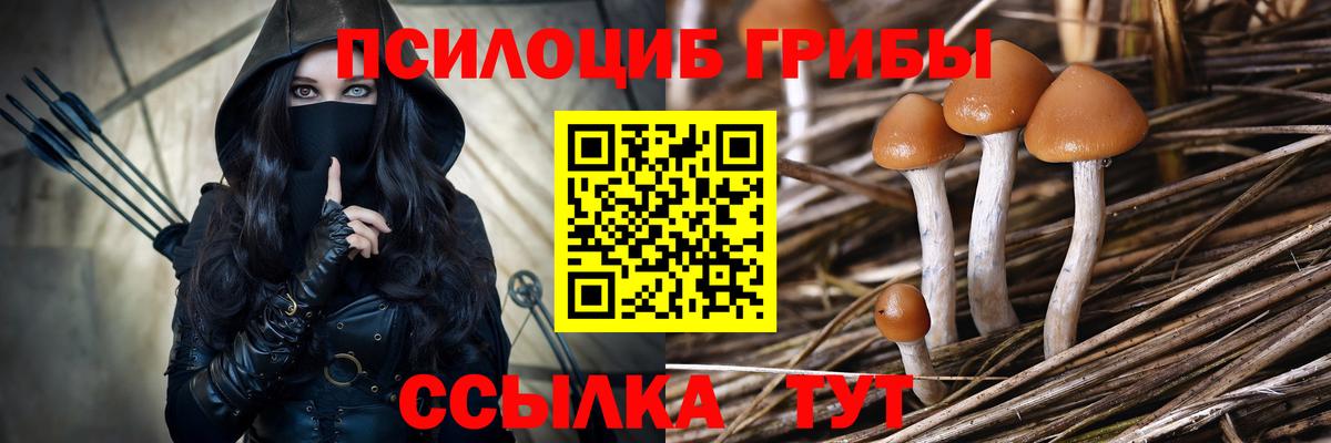 Галлюциногенные грибы GOLDEN TEACHER  Вход с VPN  Сибай  Псилоцибиновые грибы прущие грибы 